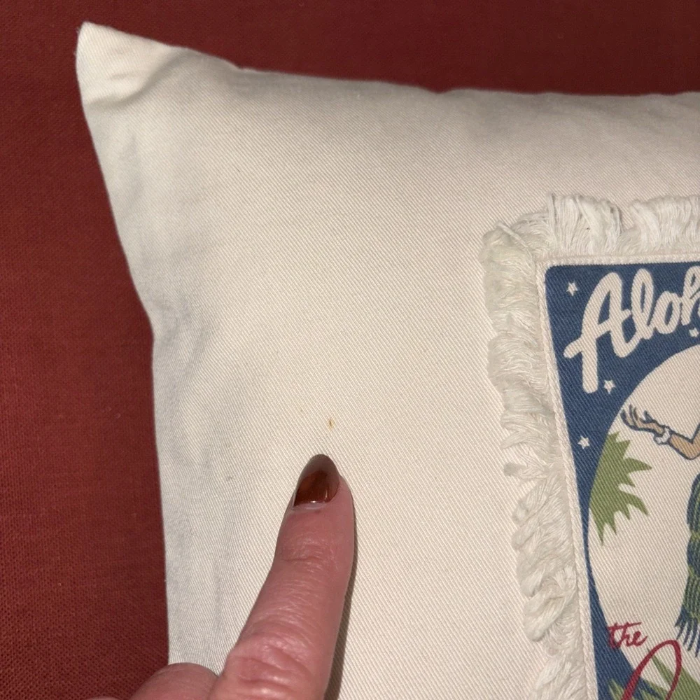 Set Of 2 Pottery Aloha Barn Throw Pillows 12